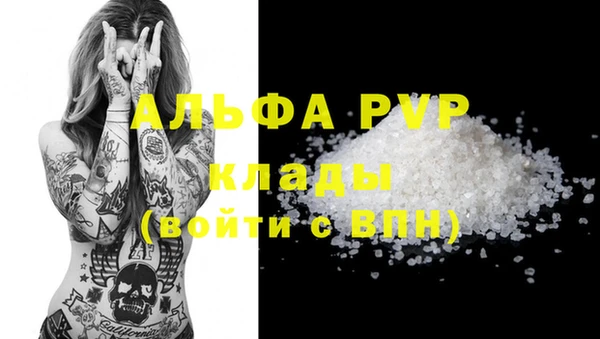 индика Касимов