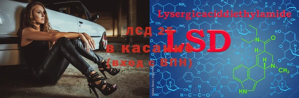 дживик Карпинск