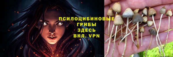 apvp Карталы