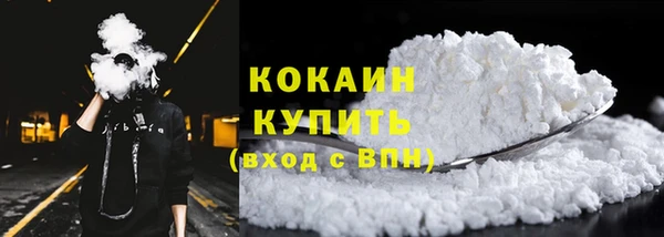 индика Касимов