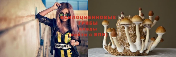 дживик Карпинск