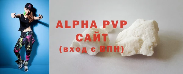 индика Касимов