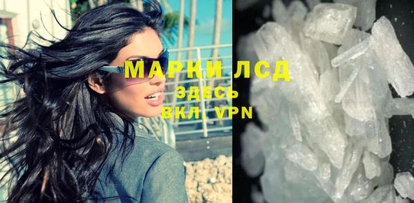 индика Касимов