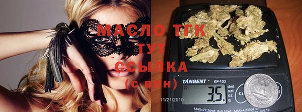 дживик Карпинск