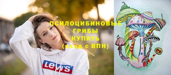 индика Касимов