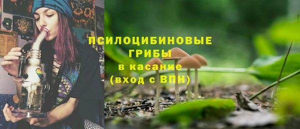 apvp Карталы